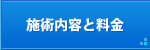 施術内容と料金