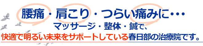 腰痛・肩こり・つらい痛みに…マッサージ、整体、鍼で、快適で明るい未来をサポートしている春日部の治療院です
。